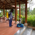 Image Gallery of Machaan Resort