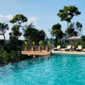Image Gallery of Machaan Resort