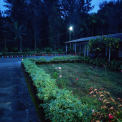 Image Gallery of Lara Homestay