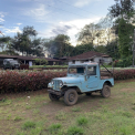 Image Gallery of Lara Homestay
