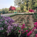 Image Gallery of Lara Homestay