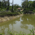 Image Gallery of Elemane Retreat Homestay
