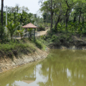 Image Gallery of Elemane Retreat Homestay