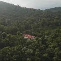 Image Gallery of Elemane Retreat Homestay