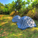 Image Gallery of Jungle Bride Riverside Resort
