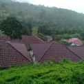 Image Gallery of Jungle Bride Riverside Resort