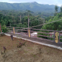 Image Gallery of Cliff Haven Homestay