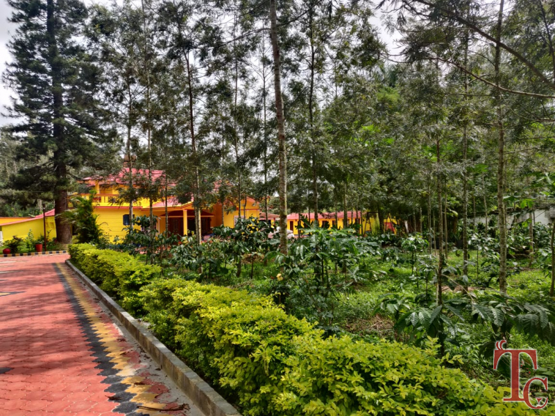 Coffee Bean Homestay in Sakleshpur Coffee Bean Homestay Coffee Bean
