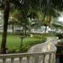 Image Gallery of Sonesta Inns