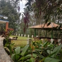 Image Gallery of Good Earth Homestay