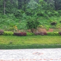 Image Gallery of Bombrukallu Home Stay