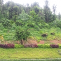 Image Gallery of Bombrukallu Home Stay