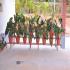 Image Gallery of Green Village Homestay