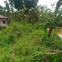 Image Gallery of Areca Estate Stay in Thirthahalli
