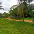 Image Gallery of Areca Estate Stay in Thirthahalli