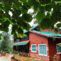 Image Gallery of Malnad Mist Homestay