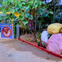 Image Gallery of Malnad Mist Homestay