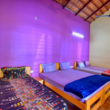 Image Gallery of Elegance Homestay