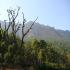 Image Gallery of Coffee County Chikmagalur