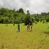 Image Gallery of Hingaara Homestay