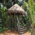 Image Gallery of Hingaara Homestay