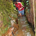 Image Gallery of Hingaara Homestay