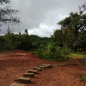 Image Gallery of Hingaara Homestay