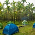 Image Gallery of Hingaara Homestay