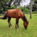 Image Gallery of Hingaara Homestay