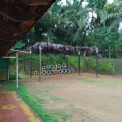 Image Gallery of Hingaara Homestay