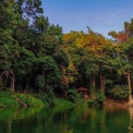 Image Gallery of Hingaara Homestay