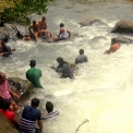 Image Gallery of Hingaara Homestay