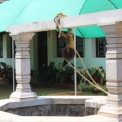 Image Gallery of Hingaara Homestay