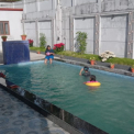 Image Gallery of Eagle Fly Homestay