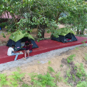 Image Gallery of Banalu Valley Homestay