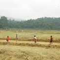 Image Gallery of Banalu Valley Homestay