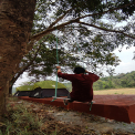 Image Gallery of Banalu Valley Homestay