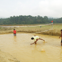 Image Gallery of Banalu Valley Homestay