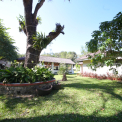 Image Gallery of Rain Tree Homestay
