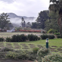 Image Gallery of Rain Tree Homestay
