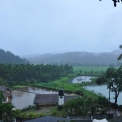 Image Gallery of Water Village Homestay