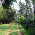 Image Gallery of Water Village Homestay
