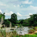 Image Gallery of Water Village Homestay