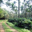 Image Gallery of Water Village Homestay