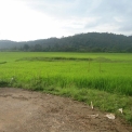 Image Gallery of Water Village Homestay