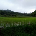 Image Gallery of Karadikallu Homestay