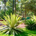 Image Gallery of Parampara Resort