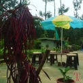 Image Gallery of Fogg Villa Homestay