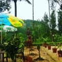 Image Gallery of Fogg Villa Homestay