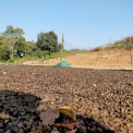 Image Gallery of Pashchim Ghat Stay